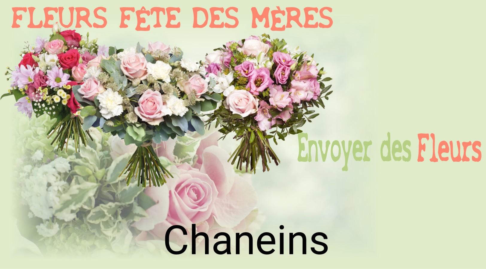 Bouquet de Fête des Mères livré à Chaneins